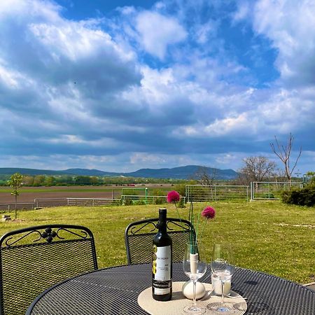 Penzion U vinařství Zajeci Exterior foto
