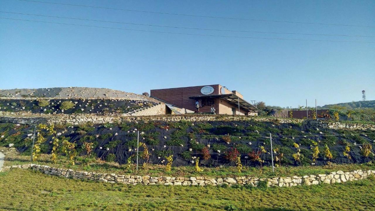 Penzion U vinařství Zajeci Exterior foto